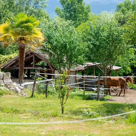 De L'elephant